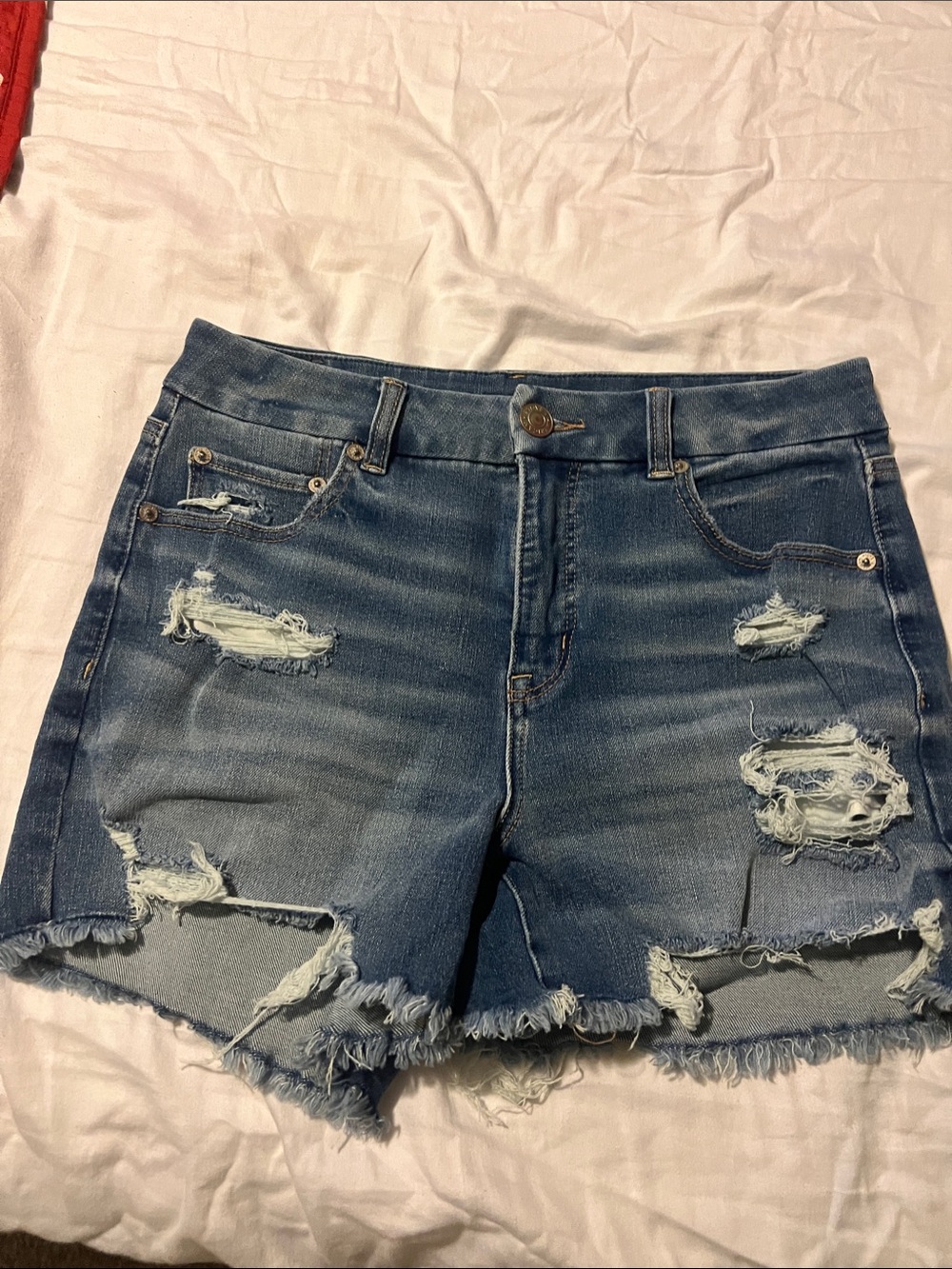American Eagle Outfitters Distressed Blue Denim Cutoff Shorts